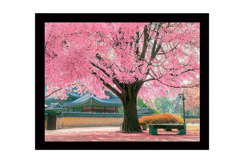 Inramad Canvastavla i trä - 41x56 cm - Blommande körsbärsträd i en vacker parkmiljö - Rosa / Grön / Brun - Inredning - Tavlor & konst