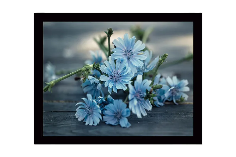 Inramad Canvastavla i trä - 41x56 cm - Blommor i mjuka blå nyanser - Ljusblå / Grön - Inredning - Tavlor & konst