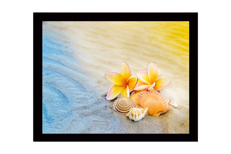 Inramad Canvastavla i trä - 41x56 cm - Blommor och snäckor på sandstrand - Gul / Rosa / Beige - Inredning - Tavlor & konst