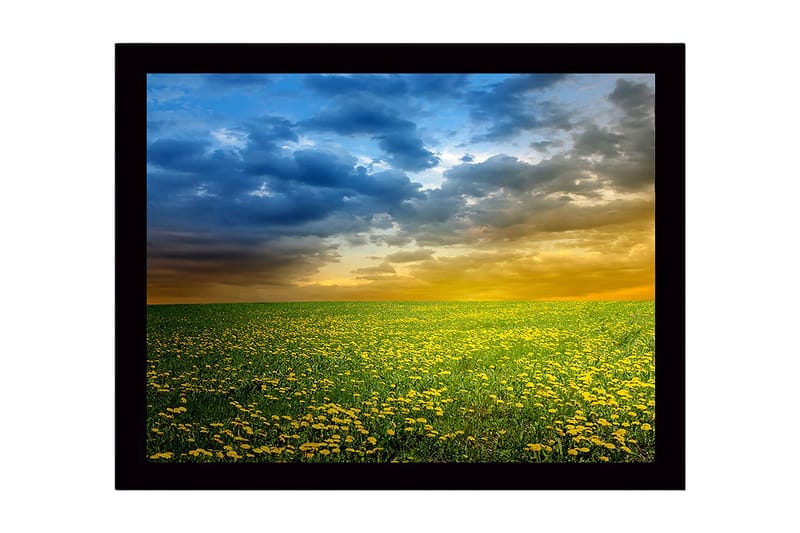 Inramad Canvastavla i trä - 41x56 cm - Blomstrande äng med gula maskrosor under en dramatisk himmel, Gult / Blått / Grönt