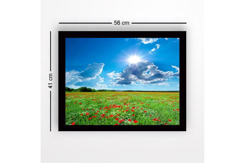 Inramad Canvastavla i trä - 41x56 cm - Blomstrande äng med röda vallmo och vita blommor under en klarblå himmel - Grön / Röd / Vit - Inredning - Tavlor & konst