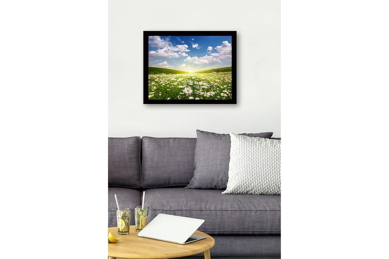 Inramad Canvastavla i trä - 41x56 cm - Blomstrande äng med prästkragar under en klar himmel - Grön / Vit / Blå - Inredning - Tavlor & konst