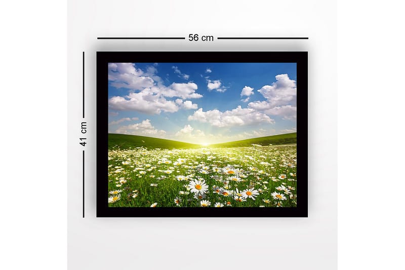 Inramad Canvastavla i trä - 41x56 cm - Blomstrande äng med prästkragar under en klar himmel - Grön / Vit / Blå - Inredning - Tavlor & konst