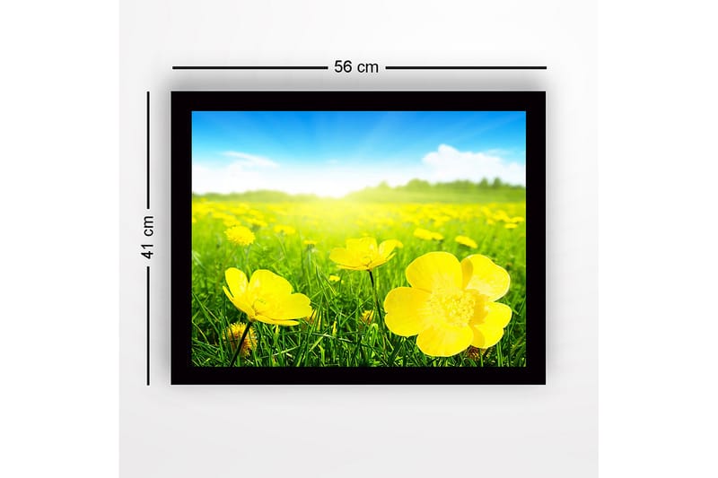 Inramad Canvastavla i trä - 41x56 cm - Fält av gula blommor i soligt landskap - Gul / Grön - Inredning - Tavlor & konst