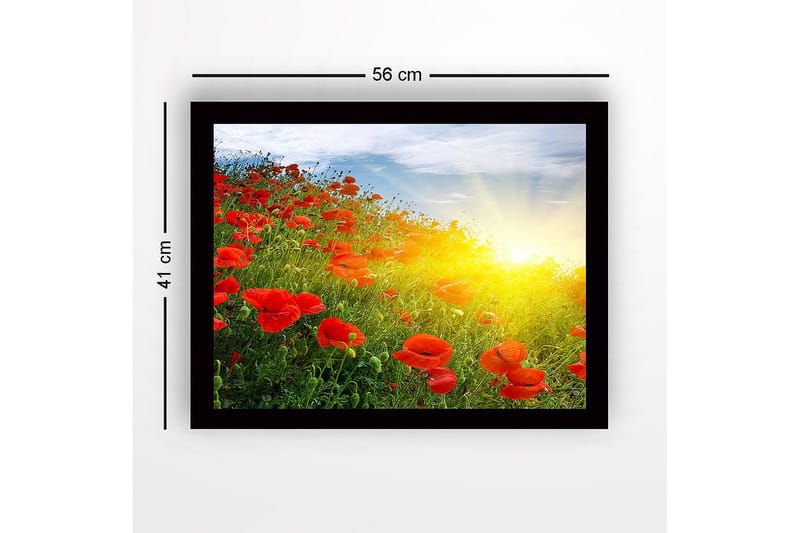 Inramad Canvastavla i trä - 41x56 cm - Fält av röda vallmo i soluppgångens ljus - Röd / Grön / Gul - Inredning - Tavlor & konst