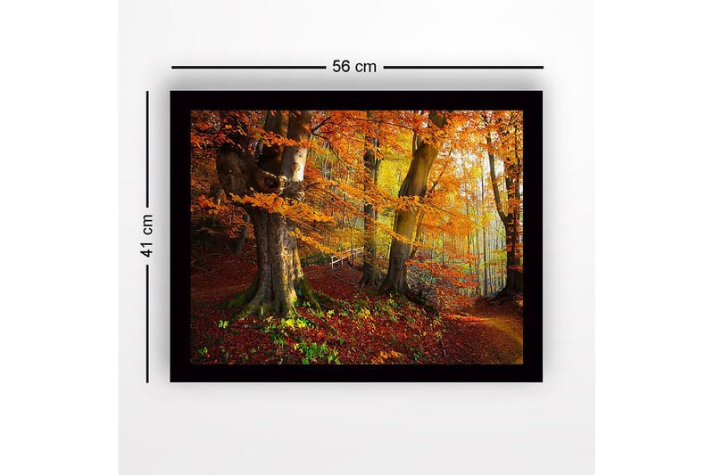 Inramad Canvastavla i trä - 41x56 cm - Färgglad höstskog med gyllene och orange lövverk - Orange / Gult / Grönt - Inredning - Tavlor & konst