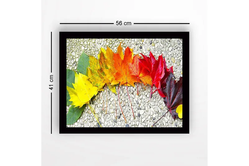 Inramad Canvastavla i trä - 41x56 cm - Färgglad rad av höstlöv i olika nyanser - Gult / Orange / Rött - Inredning - Tavlor & konst