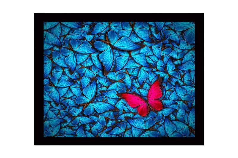 Inramad Canvastavla i trä - 41x56 cm - Färgglad samling av fjärilar med en framträdande rosa fjäril - Blå / Rosa - Inredning - Tavlor & konst