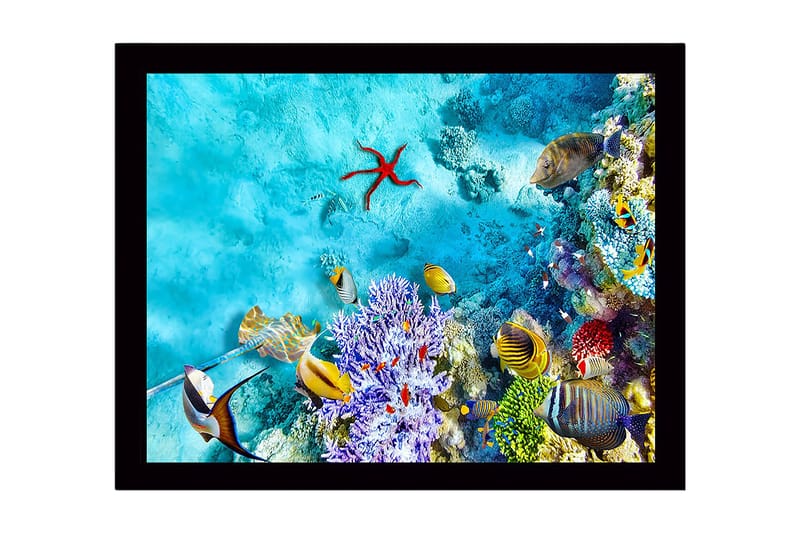 Inramad Canvastavla i trä - 41x56 cm - Färgglad undervattensscen med korallrev och fiskar - Turkos / Lila / Röd - Inredning - Tavlor & konst
