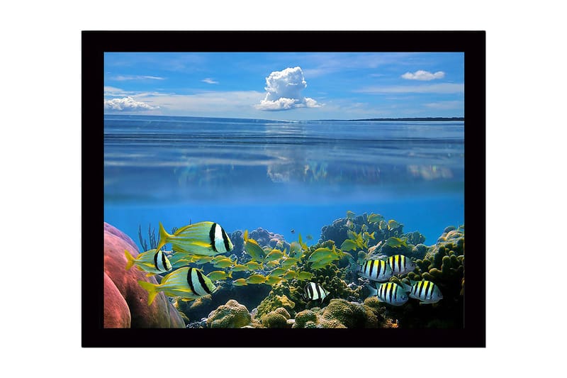 Inramad Canvastavla i trä - 41x56 cm - Färgglad undervattensscen med simmande fiskar och korallrev, Blå / Grön / Gul