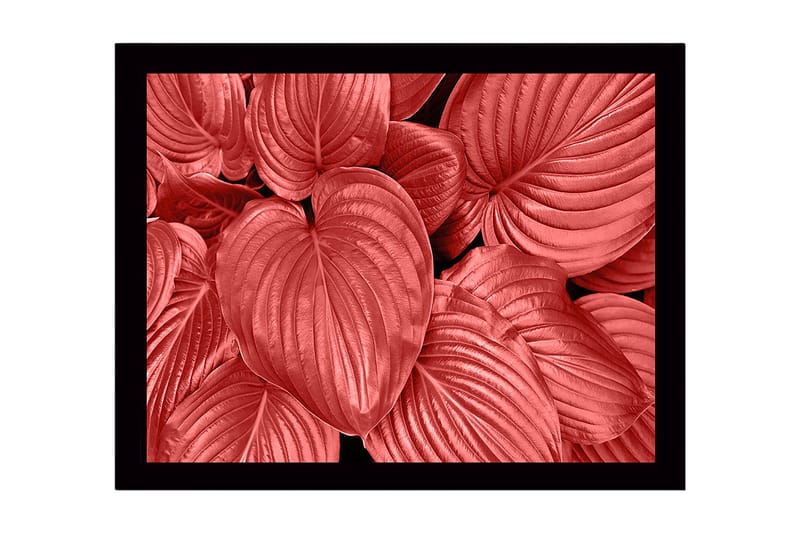 Inramad Canvastavla i trä - 41x56 cm - Färgglada blad i olika nyanser av röd, Röd / Svart