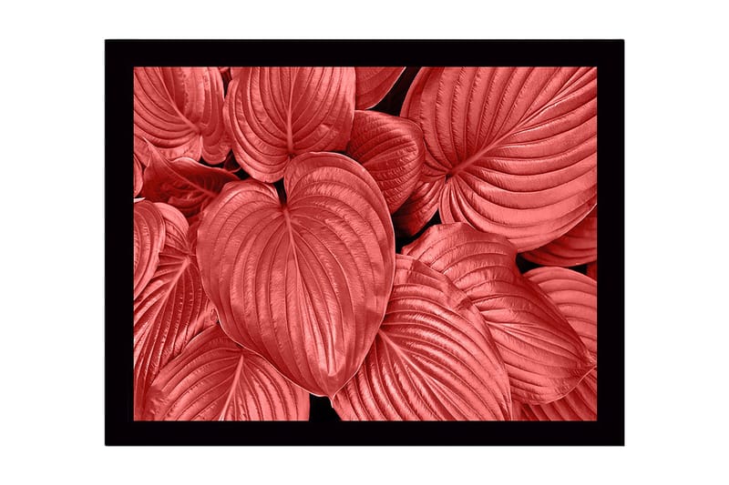Inramad Canvastavla i trä - 41x56 cm - Färgglada blad i olika nyanser av röd, Röd / Svart