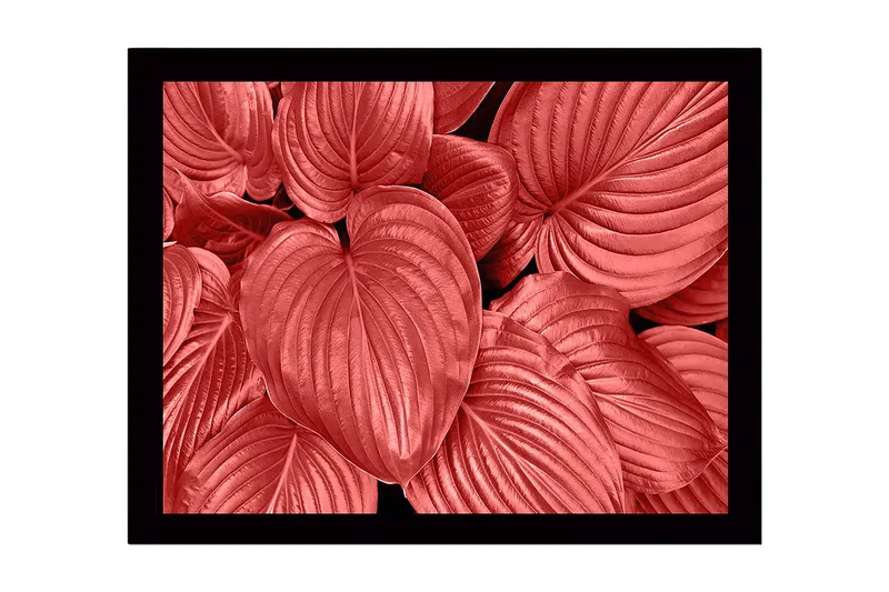 Inramad Canvastavla i trä - 41x56 cm - Färgglada blad i olika nyanser av röd, Röd / Svart