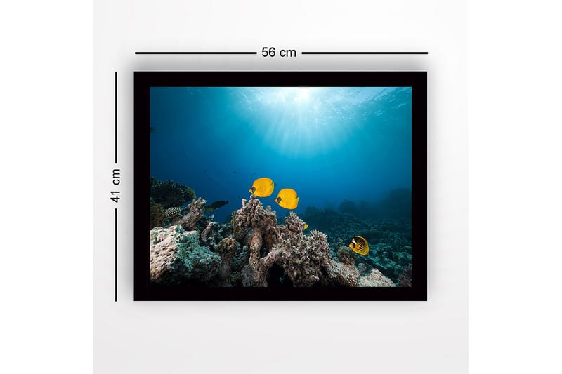 Inramad Canvastavla i trä - 41x56 cm - Färgglada fiskar simmande bland korallrev - Gul / Blå / Grå - Inredning - Tavlor & konst