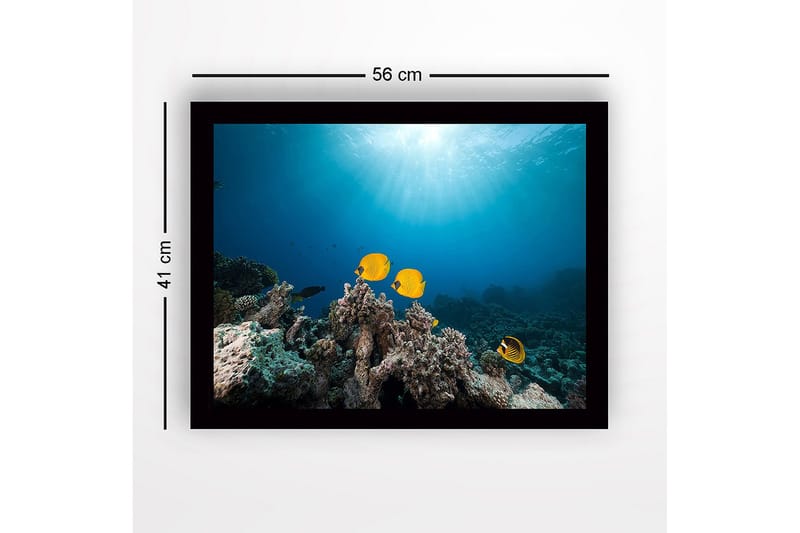 Inramad Canvastavla i trä - 41x56 cm - Färgglada fiskar simmande bland korallrev - Gul / Blå / Grå - Inredning - Tavlor & konst