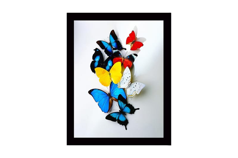 Inramad Canvastavla i trä - 41x56 cm - Färgglada fjärilar i en dynamisk komposition, Blå / Gul / Röd
