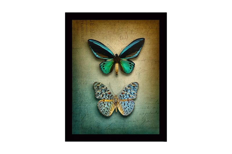 Inramad Canvastavla i trä - 41x56 cm - Färgglada fjärilar på en texturerad bakgrund, Grön / Blå / Beige