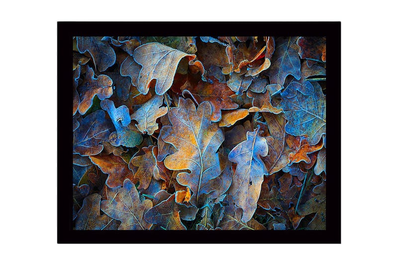 Inramad Canvastavla i trä - 41x56 cm - Färgglada höstlöv i en harmonisk komposition - Blå / Orange / Brun - Inredning - Tavlor & konst