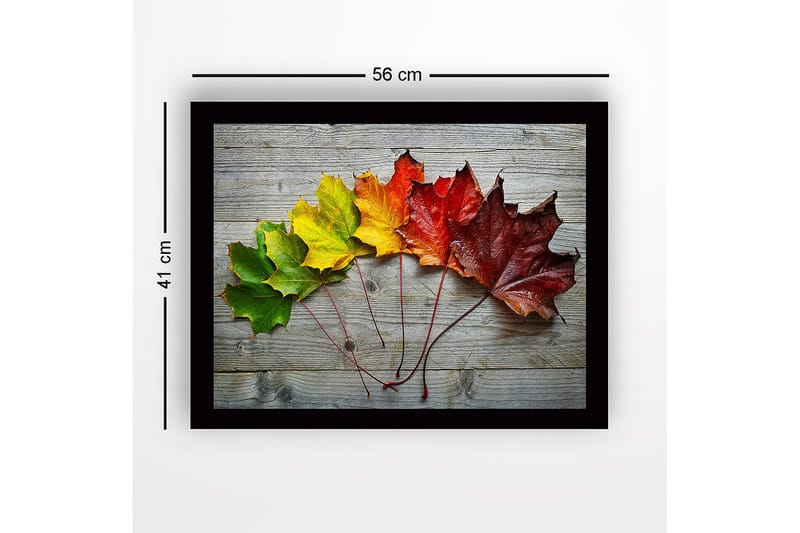 Inramad Canvastavla i trä - 41x56 cm - Färgglada höstlöv i en rad - Grön / Gul / Röd - Inredning - Tavlor & konst