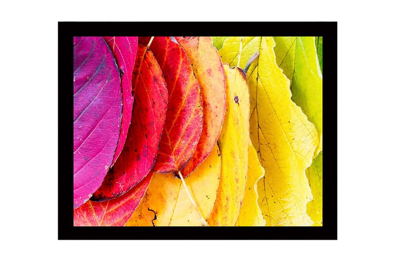 Inramad Canvastavla i trä - 41x56 cm - Färgglada höstlöv i olika nyanser - Rosa / Röd / Gul - Inredning - Tavlor & konst