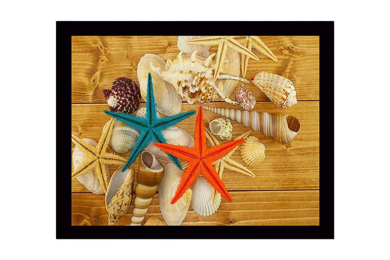 Inramad Canvastavla i trä - 41x56 cm - Färgglada sjöstjärnor på en bakgrund av snäckor och trä - Turkos / Orange / Beige - Inredning - Tavlor & konst