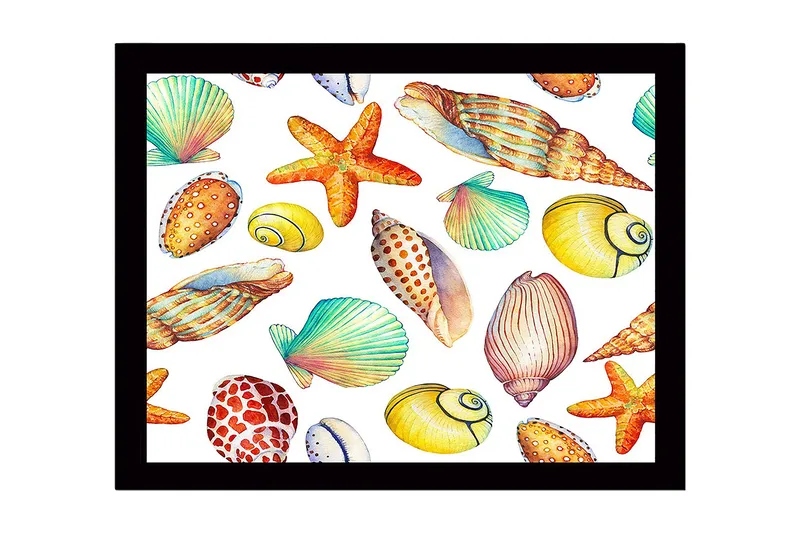 Inramad Canvastavla i trä - 41x56 cm - Färgglada snäckor och sjöstjärnor i en lekfull komposition, Gul / Orange / Grön