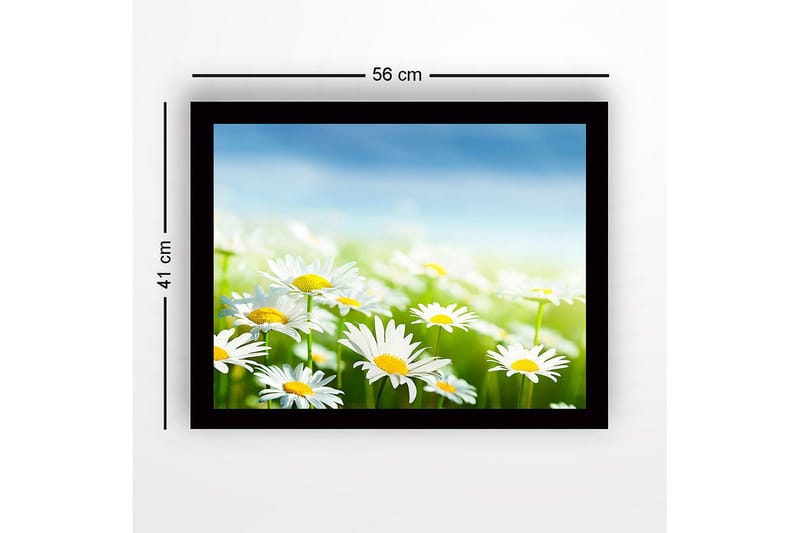 Inramad Canvastavla i trä - 41x56 cm - Färgrik äng med prästkragar i blomning - Vit / Gul / Grön - Inredning - Tavlor & konst