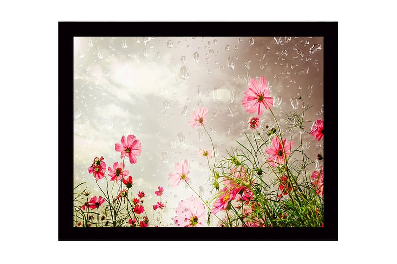 Inramad Canvastavla i trä - 41x56 cm - Färgrik blomsteräng med rosa blommor - Rosa / Grön - Inredning - Tavlor & konst