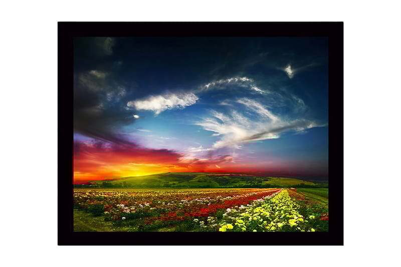 Inramad Canvastavla i trä - 41x56 cm - Färgrik blomsteräng under en dramatisk solnedgång, Röd / Gul / Grön
