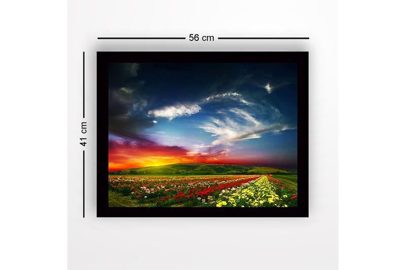 Inramad Canvastavla i trä - 41x56 cm - Färgrik blomsteräng under en dramatisk solnedgång - Röd / Gul / Grön - Inredning - Tavlor & konst