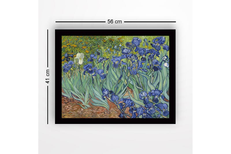 Inramad Canvastavla i trä - 41x56 cm - Färgrik samling av irisblommor - Blå / Grön / Brun - Inredning - Tavlor & konst