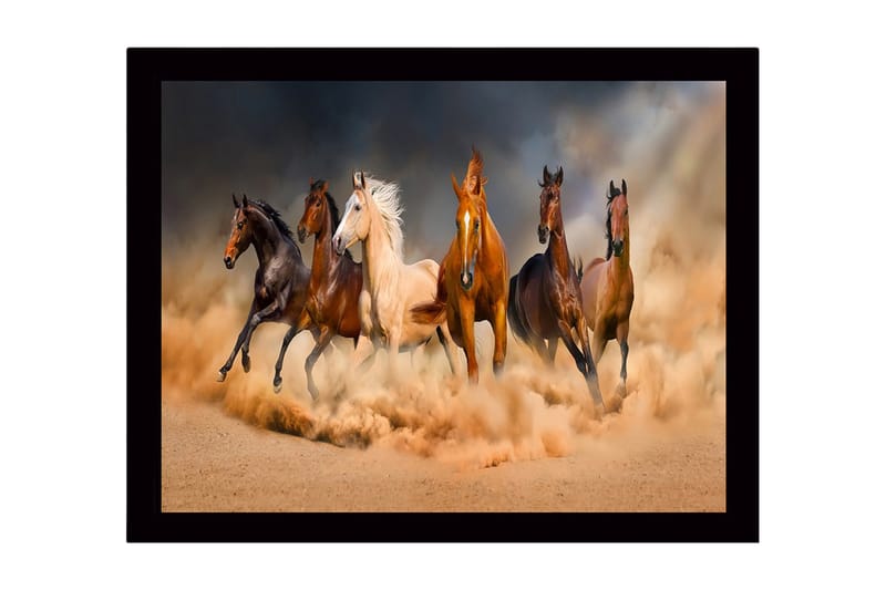 Inramad Canvastavla i trä - 41x56 cm - Fem hästar i rörelse genom sandstorm - Brun / Beige / Svart - Inredning - Tavlor & konst