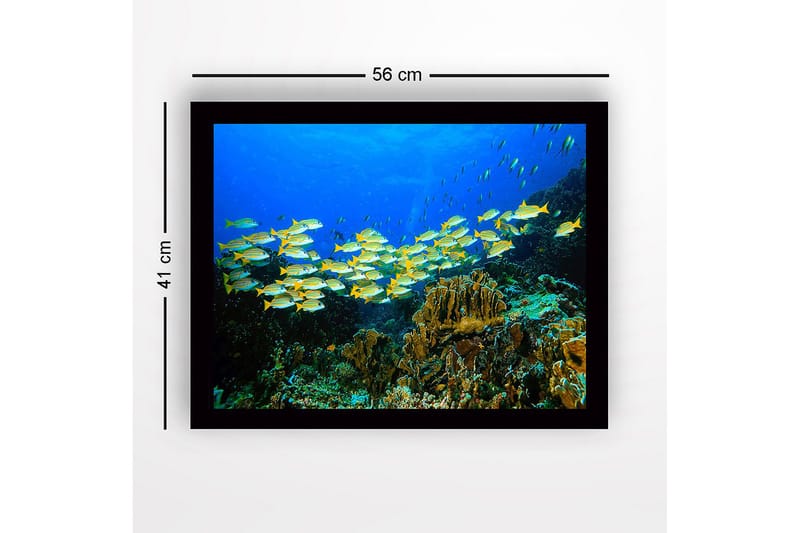 Inramad Canvastavla i trä - 41x56 cm - Flock av färgglada fiskar simmande i ett korallrev - Blå / Gul / Grön - Inredning - Tavlor & konst