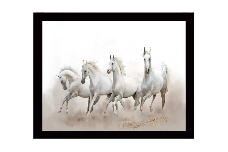 Inramad Canvastavla i trä - 41x56 cm - Fyrtal vita hästar i rörelse, Vit / Ljusgrå