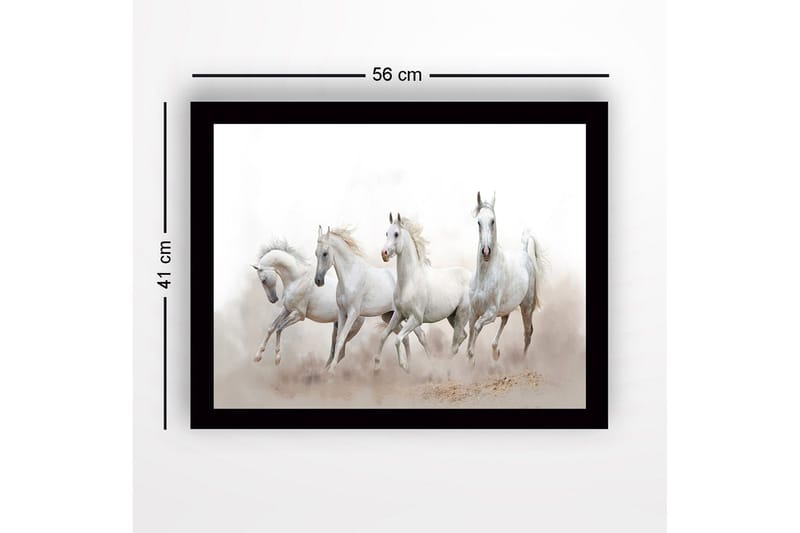 Inramad Canvastavla i trä - 41x56 cm - Fyrtal vita hästar i rörelse - Vit / Ljusgrå - Inredning - Tavlor & konst