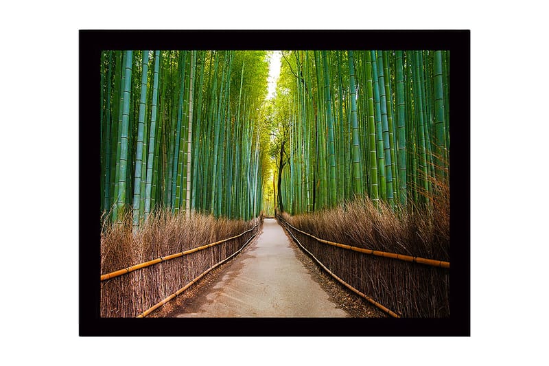 Inramad Canvastavla i trä - 41x56 cm - Grön bambuskog med en stig som leder genom träden - Grön / Brun - Inredning - Tavlor & konst