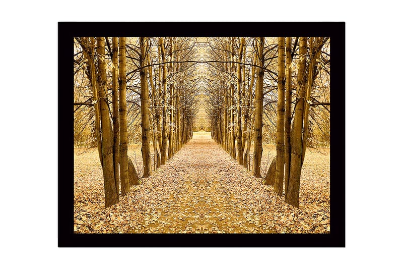 Inramad Canvastavla i trä - 41x56 cm - Gyllene allé av träd i höstskrud - Guld / Brun / Beige - Inredning - Tavlor & konst