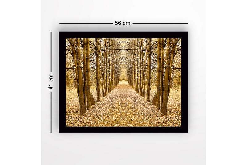 Inramad Canvastavla i trä - 41x56 cm - Gyllene allé av träd i höstskrud - Guld / Brun / Beige - Inredning - Tavlor & konst