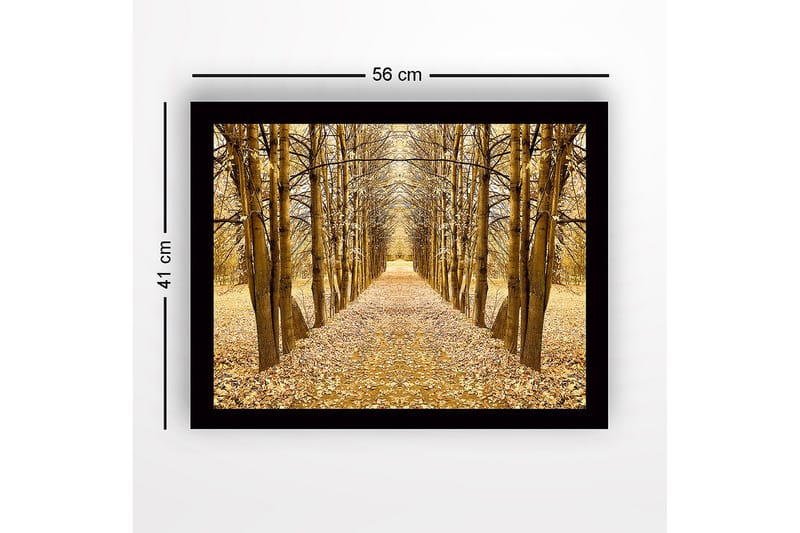 Inramad Canvastavla i trä - 41x56 cm - Gyllene allé av träd i höstskrud - Guld / Brun / Beige - Inredning - Tavlor & konst