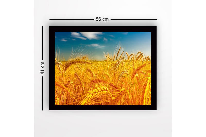 Inramad Canvastavla i trä - 41x56 cm - Gyllene vetefält under en klar himmel - Guld / Blå / Grön - Inredning - Tavlor & konst