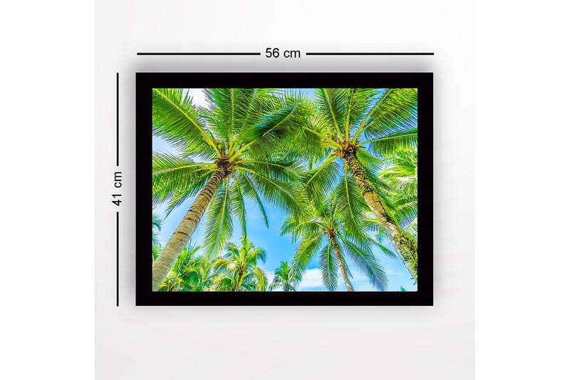 Inramad Canvastavla i trä - 41x56 cm - Höga palmer mot en klarblå himmel - Grön / Blå - Inredning - Tavlor & konst
