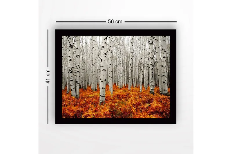 Inramad Canvastavla i trä - 41x56 cm - Höstlig skog med björkar och gyllene ormbunkar - Vit / Orange - Inredning - Tavlor & konst