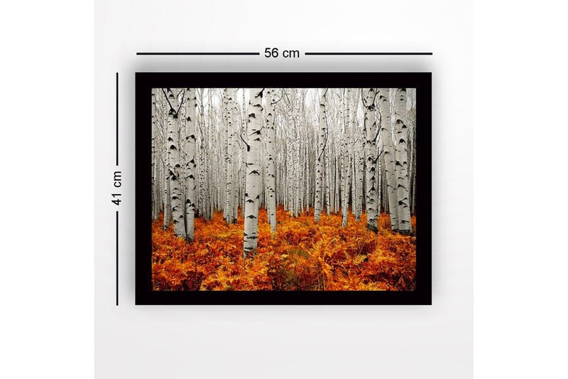 Inramad Canvastavla i trä - 41x56 cm - Höstlig skog med björkar och gyllene ormbunkar - Vit / Orange - Inredning - Tavlor & konst