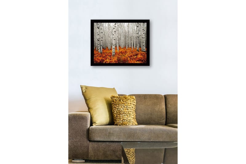 Inramad Canvastavla i trä - 41x56 cm - Höstlig skog med björkar och gyllene ormbunkar - Vit / Orange - Inredning - Tavlor & konst