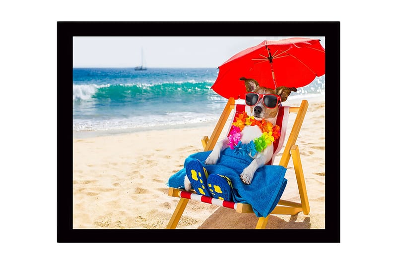 Inramad Canvastavla i trä - 41x56 cm - Hund som kopplar av på stranden i solstol med solglasögon och parasoll, Röd / Blå / Gul