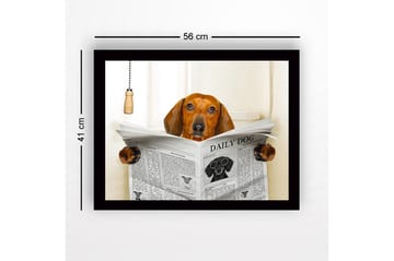Inramad Canvastavla i trä - 41x56 cm - Hund som läser tidningen DAILY DOG - Brun / Svart / Vit - Inredning - Tavlor & konst