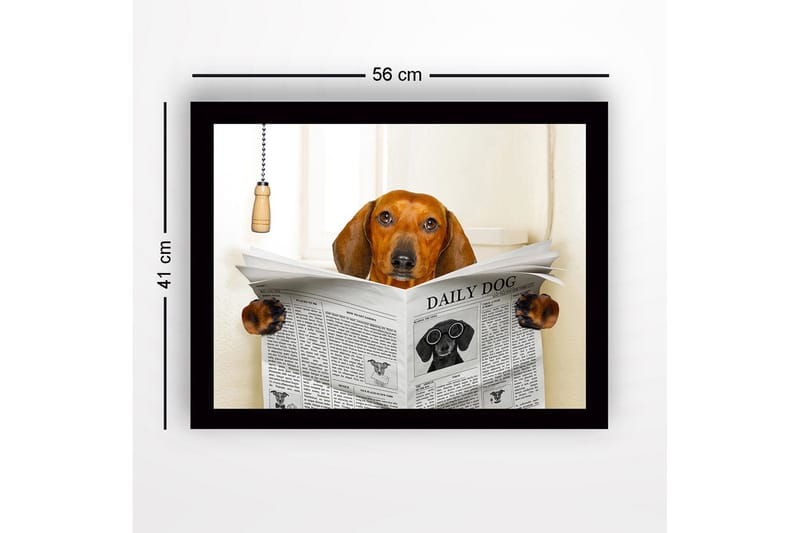 Inramad Canvastavla i trä - 41x56 cm - Hund som läser tidningen DAILY DOG - Brun / Svart / Vit - Inredning - Tavlor & konst