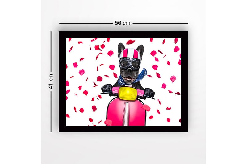 Inramad Canvastavla i trä - 41x56 cm - Hund på scooter med rosett av rosblad - Rosa / Svart / Gul - Inredning - Tavlor & konst
