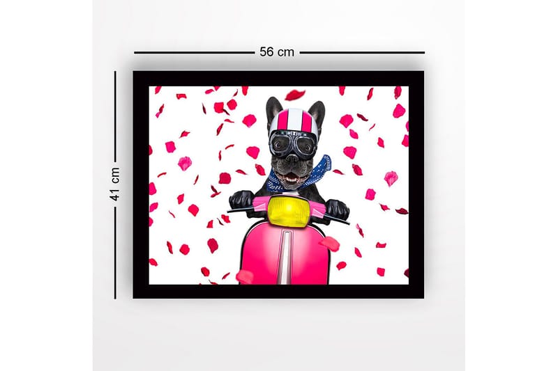 Inramad Canvastavla i trä - 41x56 cm - Hund på scooter med rosett av rosblad - Rosa / Svart / Gul - Inredning - Tavlor & konst