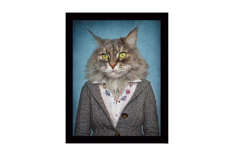 Inramad Canvastavla i trä - 41x56 cm - Katt med mänsklig klädsel och uttryckande ansiktsdrag, Grå / Blå / Gul